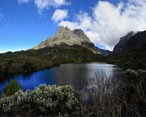 rwenzori mountains uganda