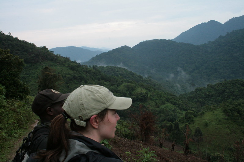3 Days fly in Bwindi Gorilla Trekking Tours in Uganda