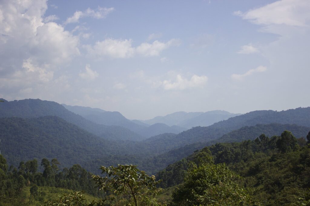 3 Day Gorilla Trekking in Uganda From Rwanda Kigali