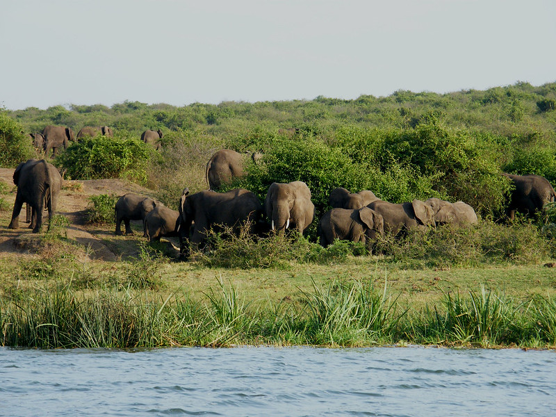 3 Days Murchison Falls National Park Tour Uganda