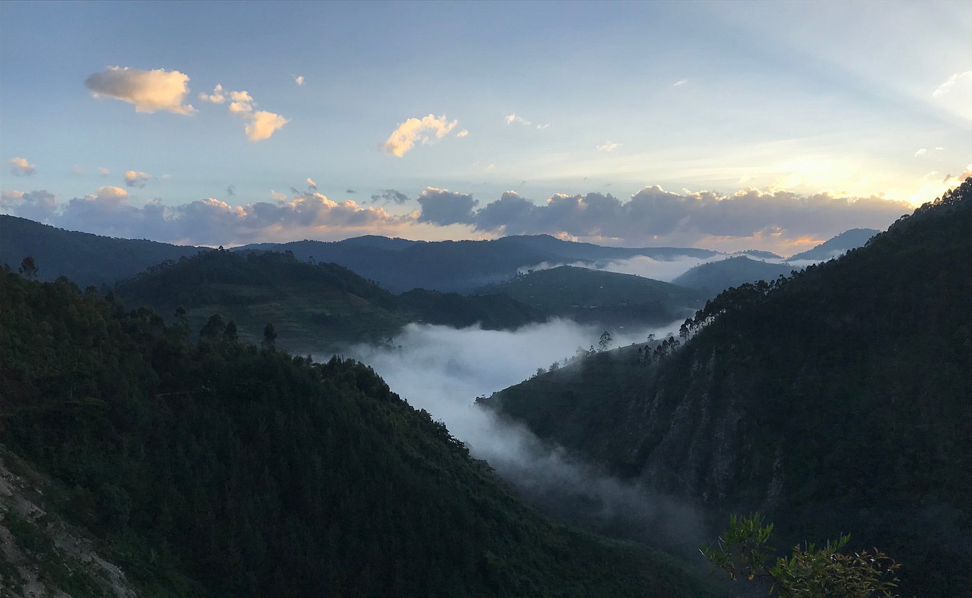 Gorilla Habituation Experience Uganda